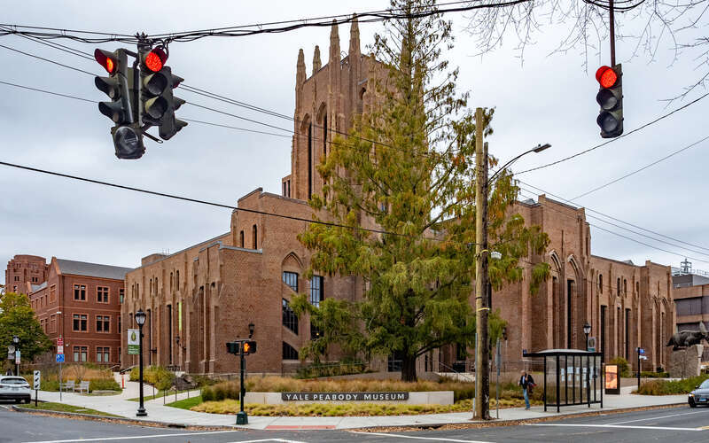 New Haven, CT