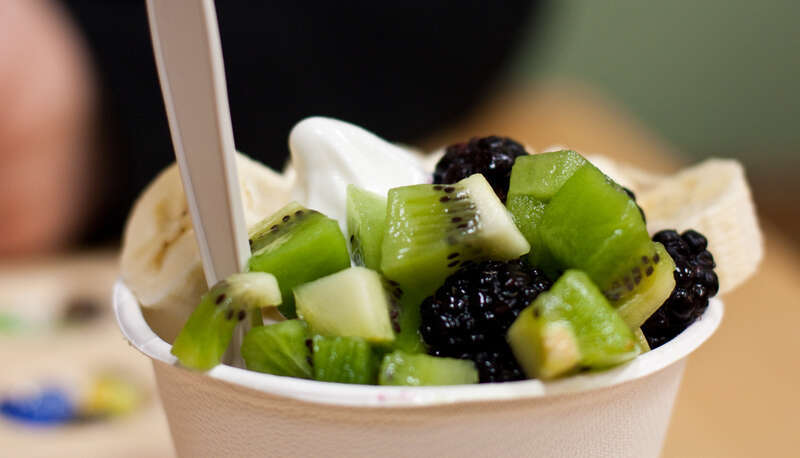 Yogurt Harmony
