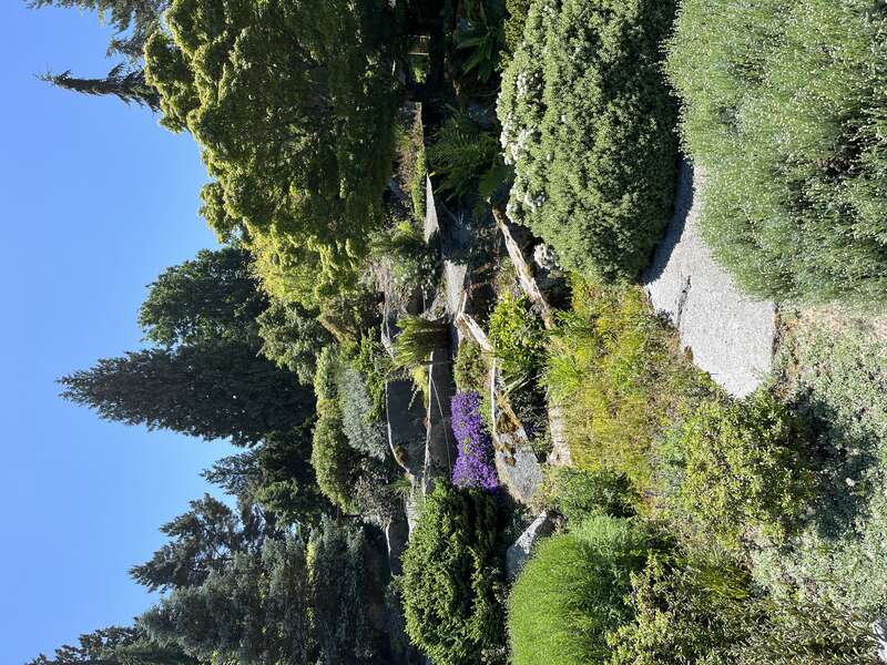 Bellevue, WA