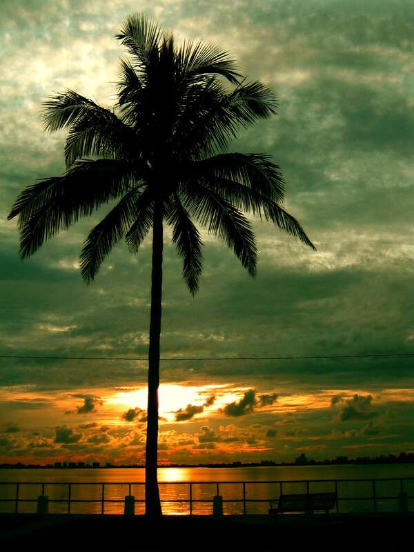 Sunrise by Biscayne Bay, Miami Shores, FL
