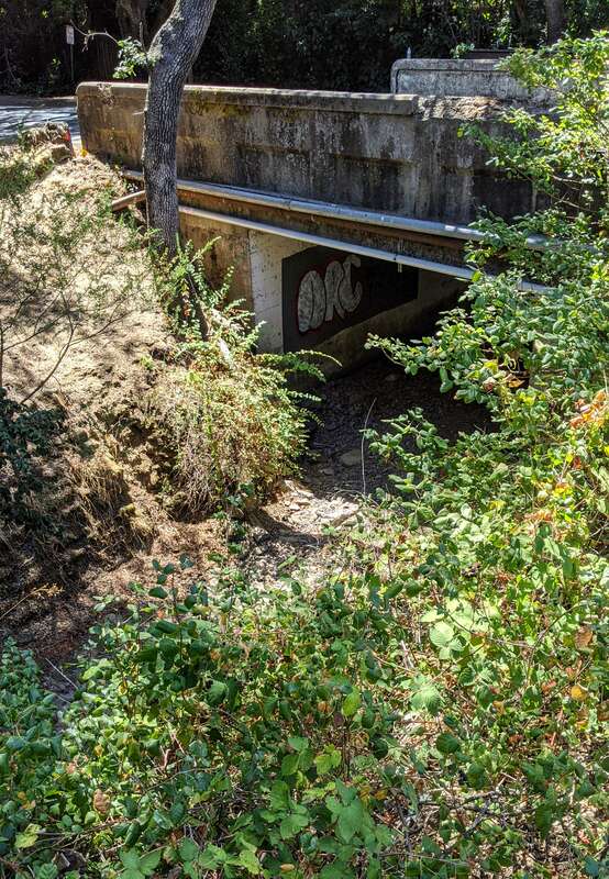 Dry Creek, a tributary of Bear Creek that flows along the west side of Cañada Road and by Buck's of Woodside, exiting under Mountain Home Road close to Woodside Road (California state route 84)