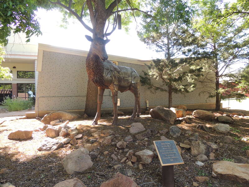 The bronze sculpture is entitled Sentinel as a sentinel species being an indicator of harm and hazardous conditions to an environment and habitat. The life size sculpture is located at the visual art grounds of the Museum of the Great Plains in