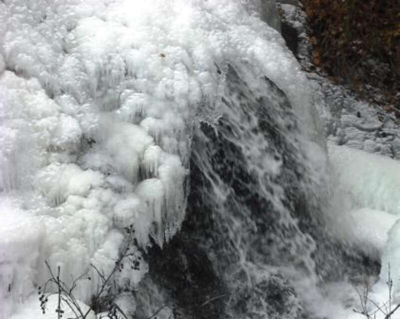 freezee
