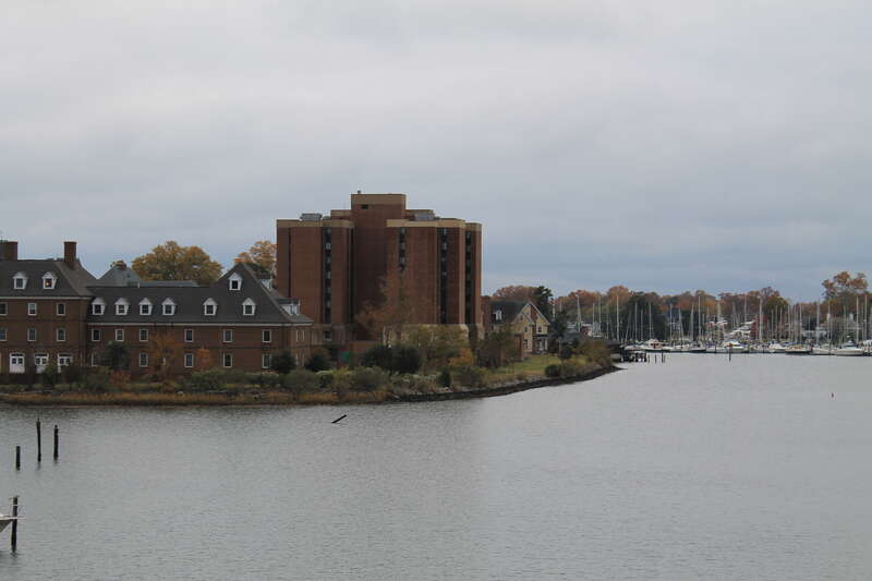 Hampton Marinas