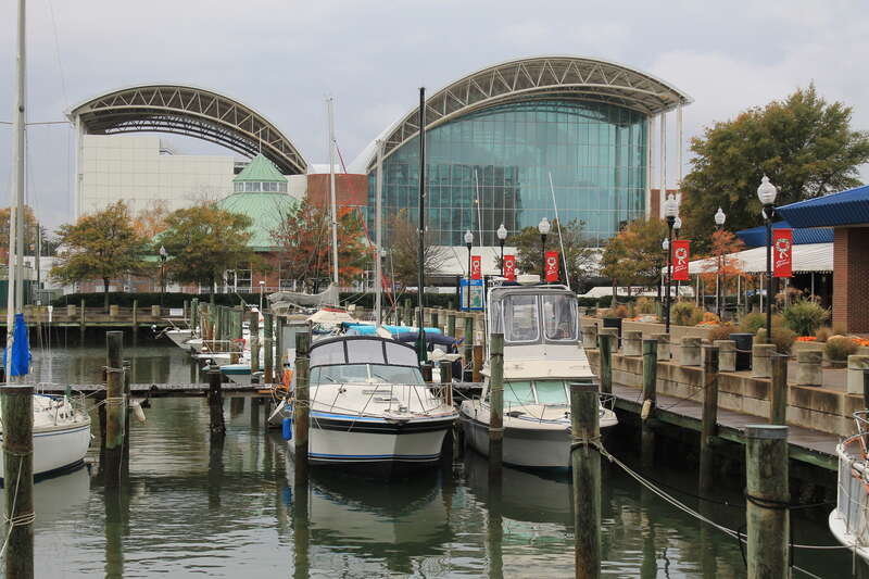 Hampton Marinas
