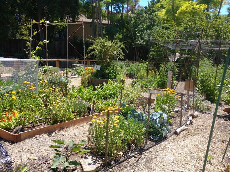 A volunteer garden maintained within Heritage Park in Mountain View, California. See "www.soilandwatergarden.org".