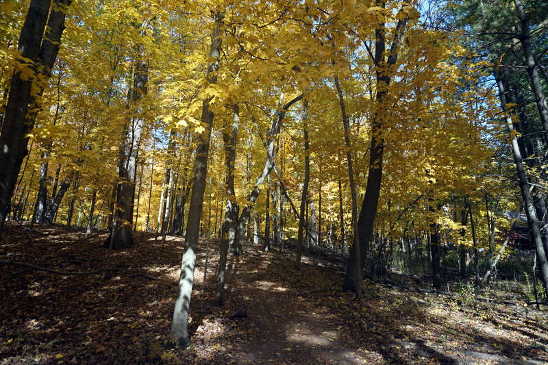 The Holy Hill Segment of the Ice Age Trail in Hubertus, Wisconsin (United States).