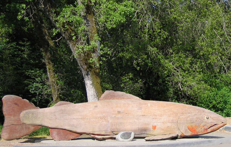 A carving by Floyd Davis of the Indomitable Salmon, originally installed at Humboldt County's Prairie Creek Fish Hatchery in 1974 after fundraising efforts by former San Francisco 49er Ed Henke. The original rotted away and a copy was made without
