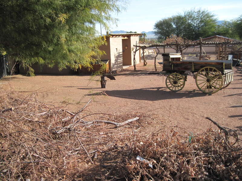 Las Vegas 2009_19