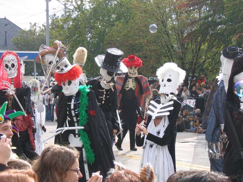 Seed &amp; Feed Marching Abominable