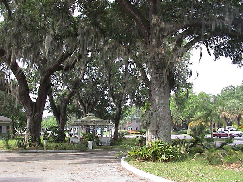 Motel Lawn