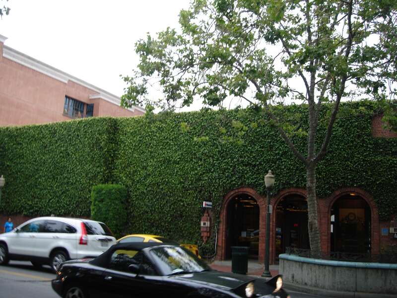 Palo Alto, CA USA