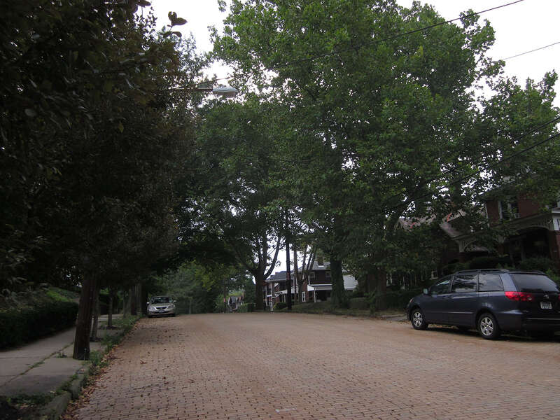 My new homestreet is a yellow brick road, literally.
