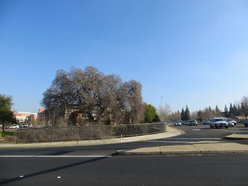 Roseville 301E