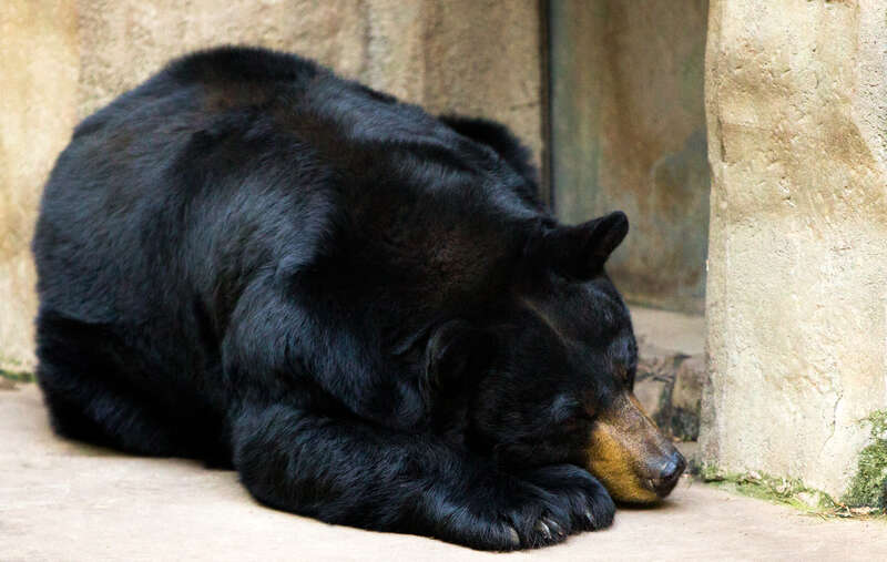 Sleep tight.jpg
