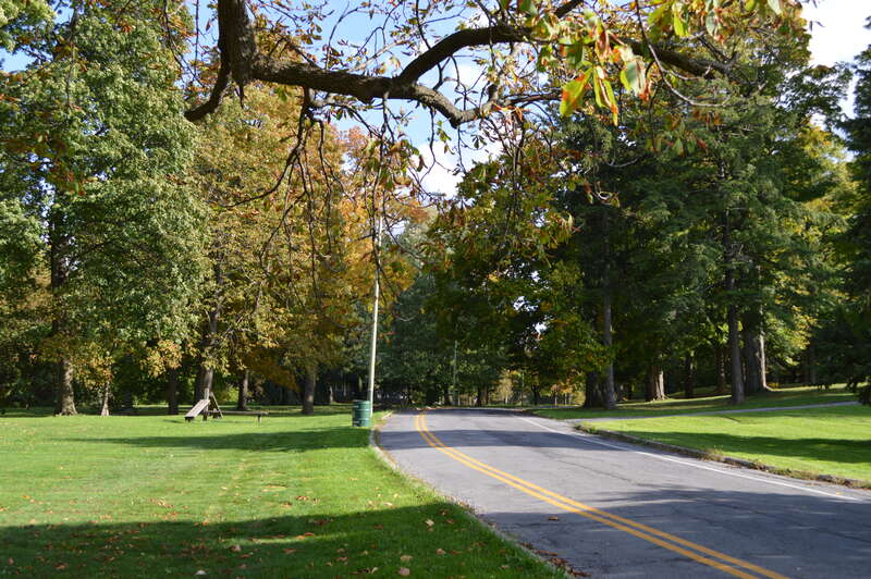 Thornden Park