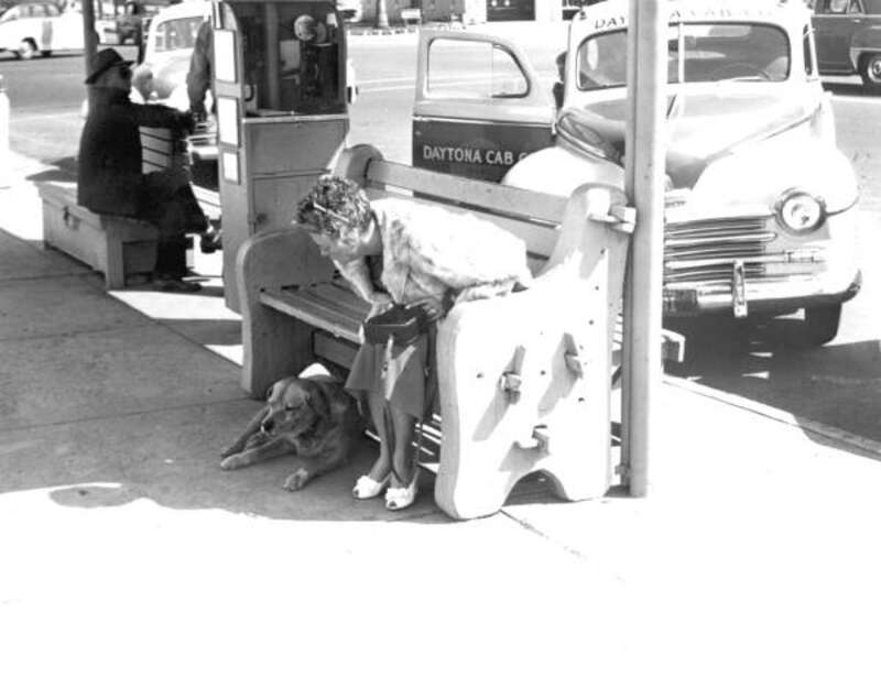 Local call number: rc13757 


Title: Tourist with "Brownie" the town dog: Daytona Beach, Florida



Date: 195-. 



Physical descrip: 1 photoprint: b&amp;w; 8 x 10 in. 



Series Title: (Reference collection.)



Repository: