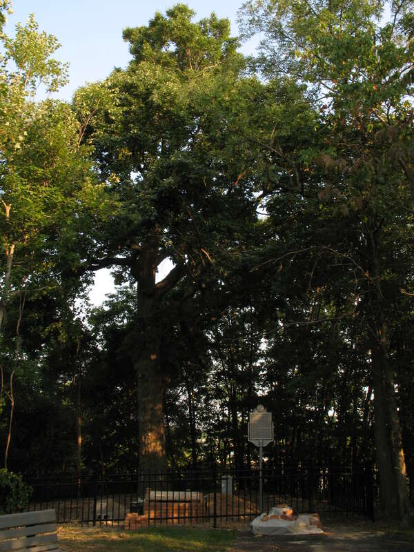 The family burial ground of Major Thomas Lancaster Lansdale