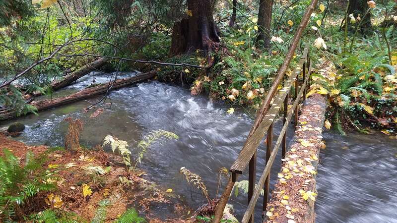 Kelsey Creek following a rain storm in Bellevue's Crossroads neighborhood in November of 2017.