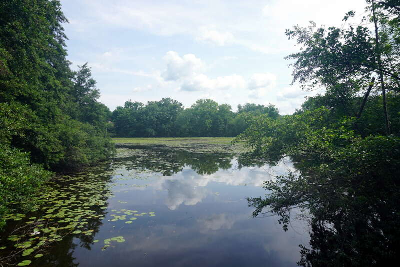 The Huron River in Ann Arbor, Michigan (United States).