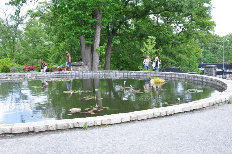 Atlanta Botanical Garden