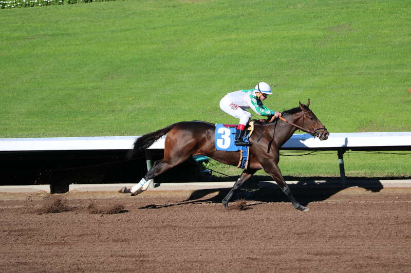 Drayden Van Dyke at Los Alamitos racetrack December 17, 2016