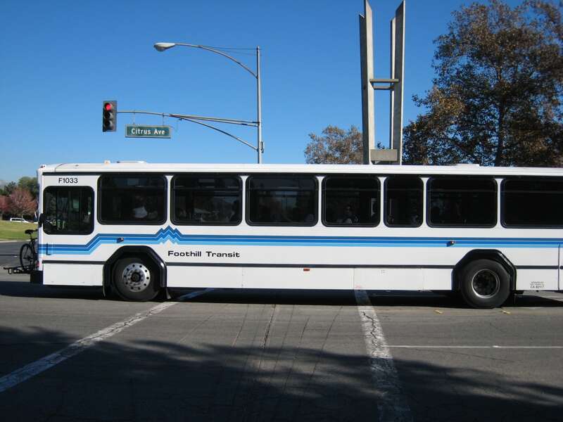 Bus.