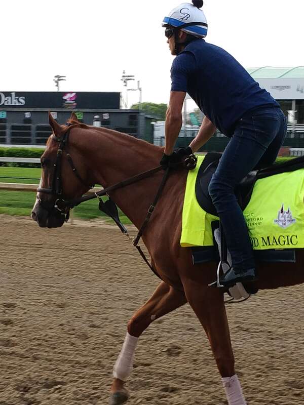 Pre kentucky Derby Workout - Good Magic

Feel free to use this photo however you like, just attribute <a href="https://atthepaddock.com" rel="nofollow">atthepaddock.com</a>. Thanks!