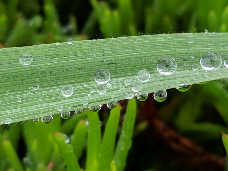 Green-04