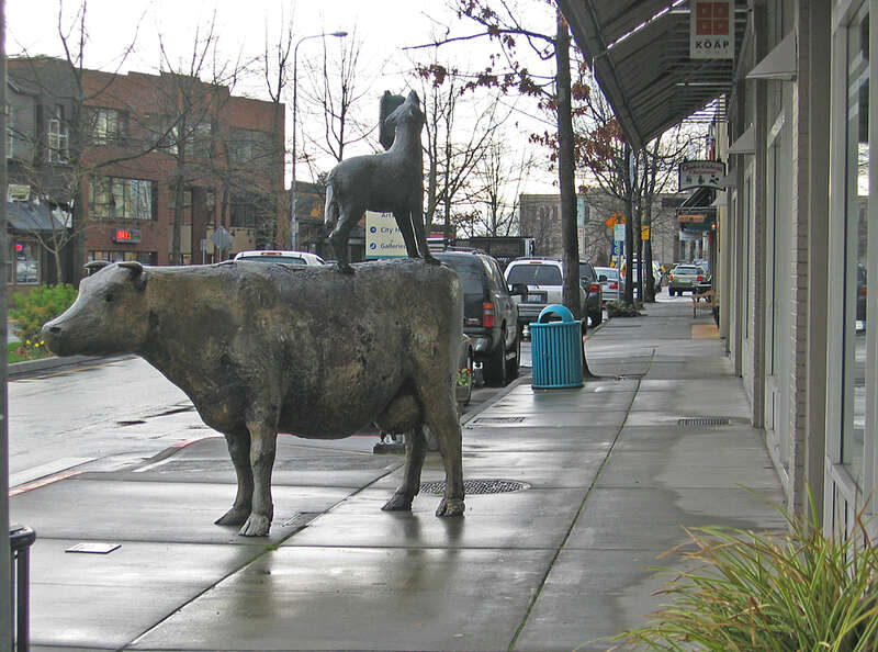 Sculpture in Sidewalk's furniture zone creates an interesting environment for pedestrians in downtown Kirkland
This work is licensed under a
Creative Commons Attribution 3.0 United States License.

Please Attribute to: Brett VA