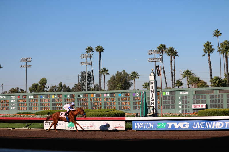 Los Alamitos racetrack December 17, 2016