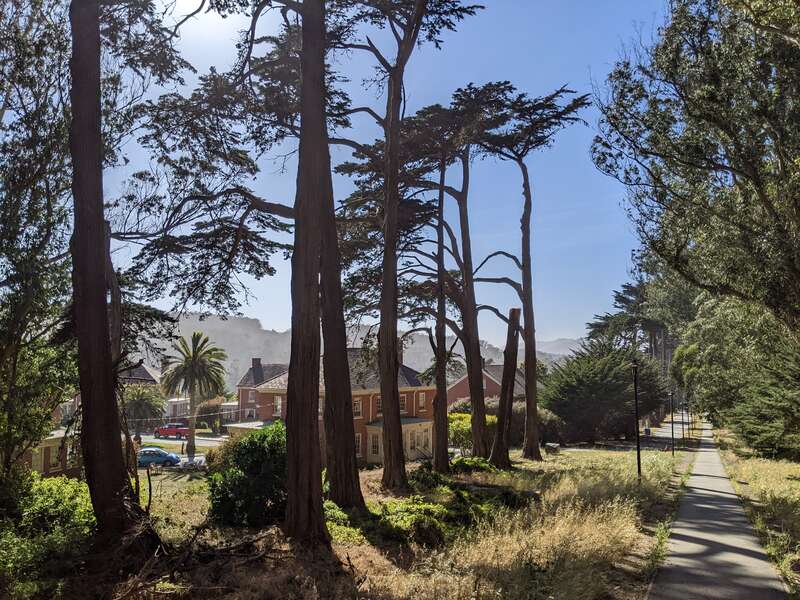 "The oldest footpath through the Presidio, Lovers’ Lane was established in the 18th century as a shortcut used by Spanish soldiers and missionaries to get from the Main Post to Mission Dolores, located three miles south of the Presidio. Today, you’ll