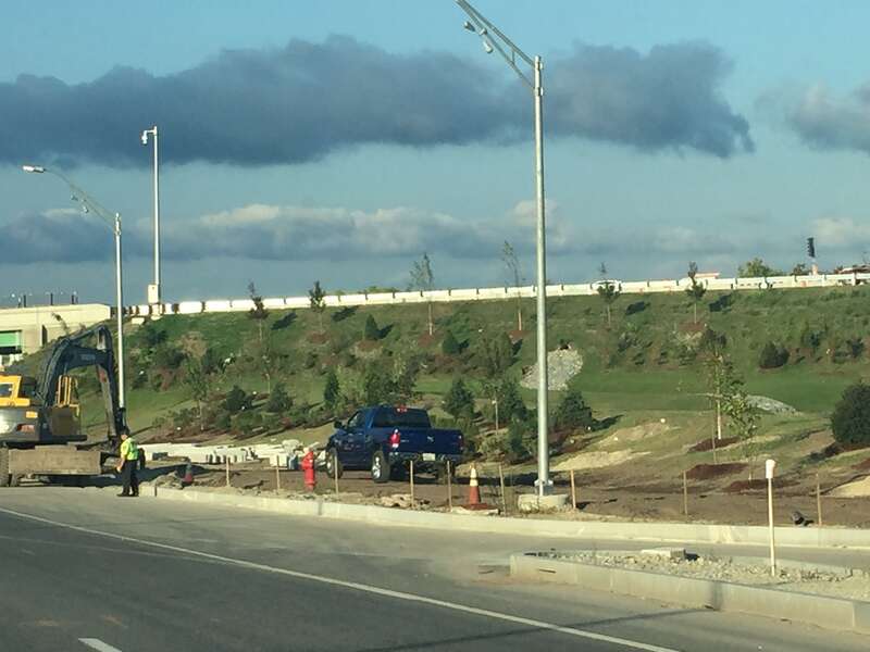 Plantings at I-93 Northbound Slope