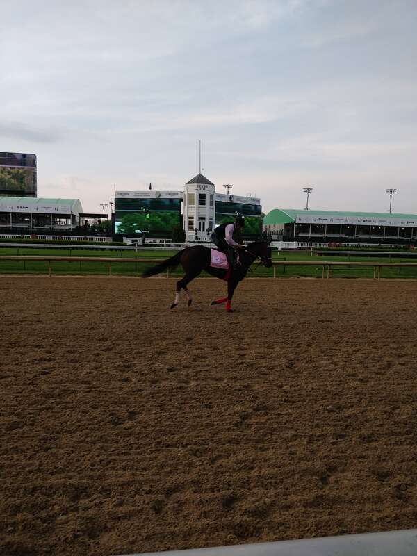 Pre kentucky Derby Workout - Midnight Bisou

Feel free to use this photo however you like, just attribute <a href="https://atthepaddock.com" rel="nofollow">atthepaddock.com</a>. Thanks!