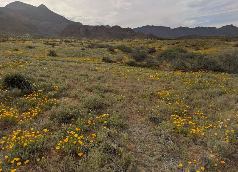 Nature Trail in Franklin Mountains 2020