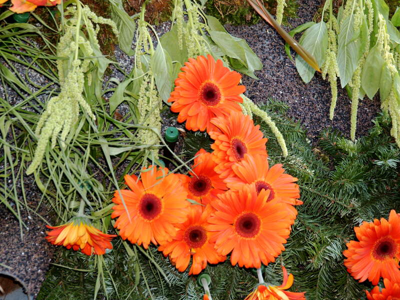 Rose Parade 2009