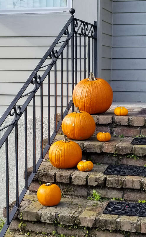 Pumpkins on staircase, New Orleans
