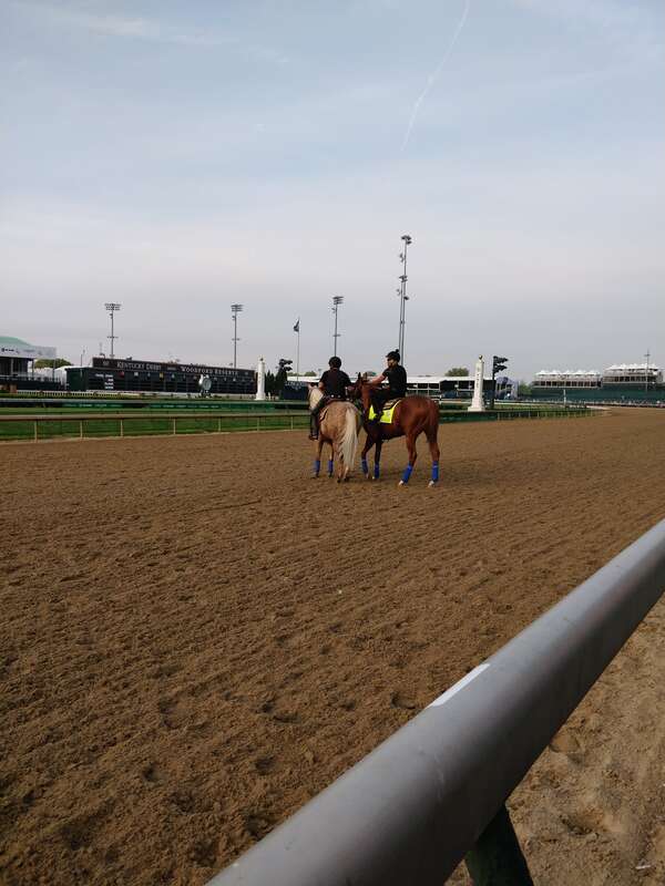 Pre kentucky Derby Workout - Solomini

Feel free to use this photo however you like, just attribute <a href="https://atthepaddock.com" rel="nofollow">atthepaddock.com</a>. Thanks!