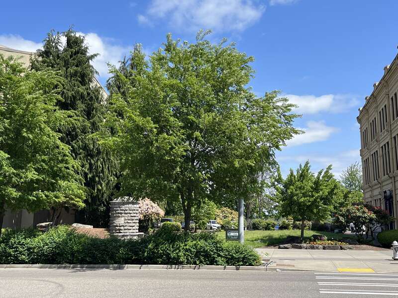 Fawcett’s Faucet, Firefighters Park, Tacoma, Washington