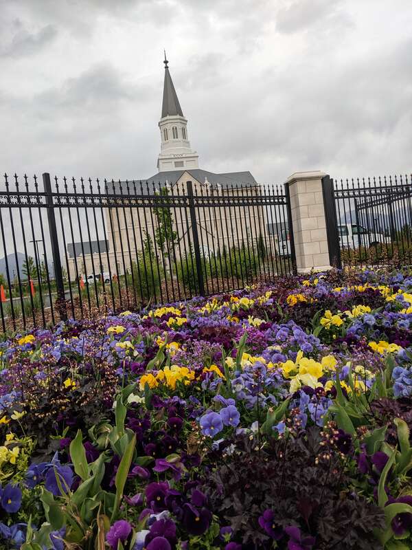 photos during open house of the Taylorsville Utah Temple