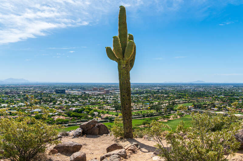 View from Camelback Mountain