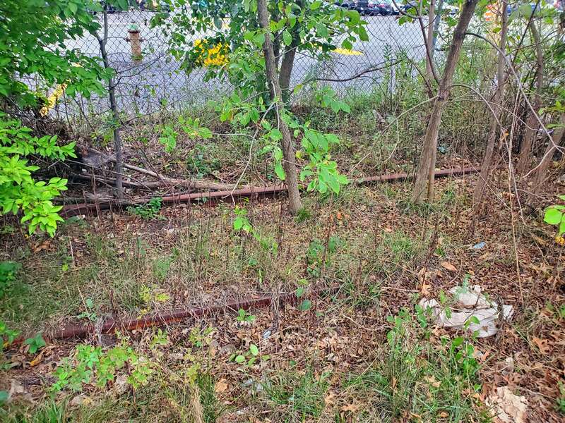 Abandoned Watertown Branch rails in North Cambridge, seen in September 2022
