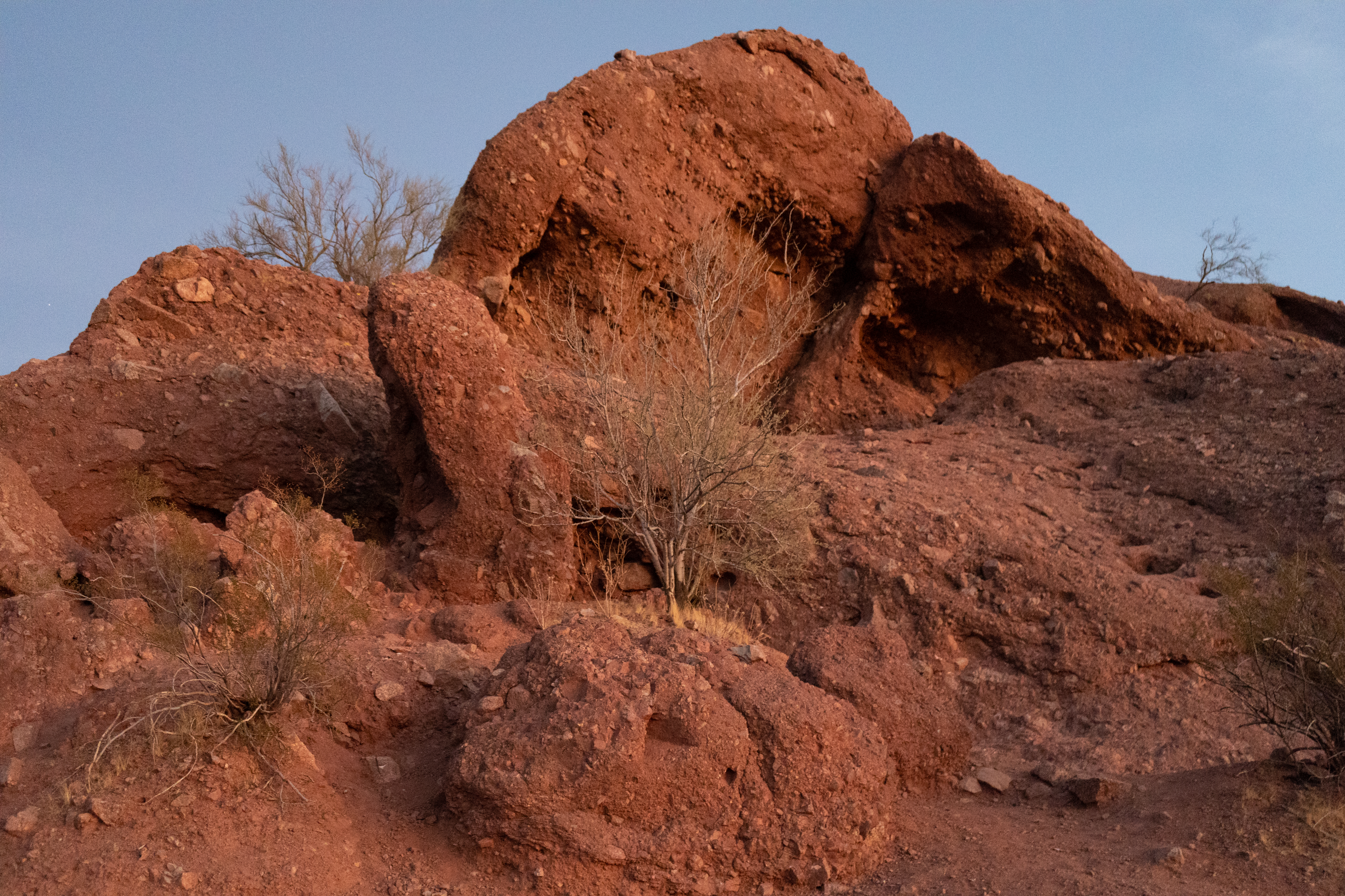 Get the Sony RAW Image ARW