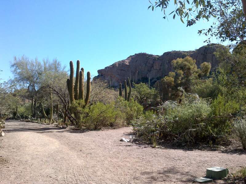Boyce Thompson Arboretum, Superior, Arizona