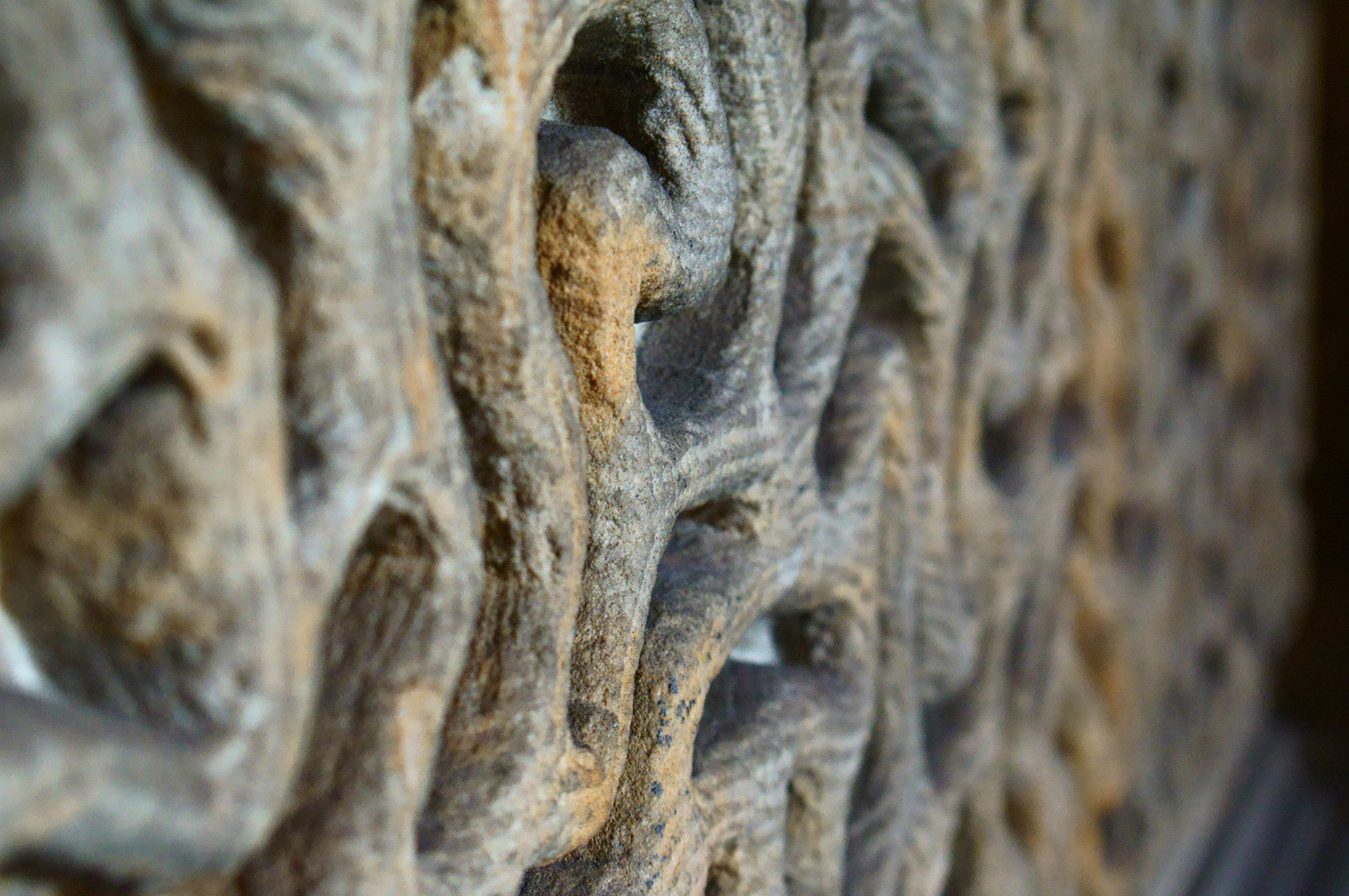 
500px provided description: Prakticar Auto-Zoom 3.5-4.8 MC Macro 35-70 mm [#wall ,#stone ,#structure ,#carving ,#city hall ,#windings ,#gyri ,#Philadelphia]