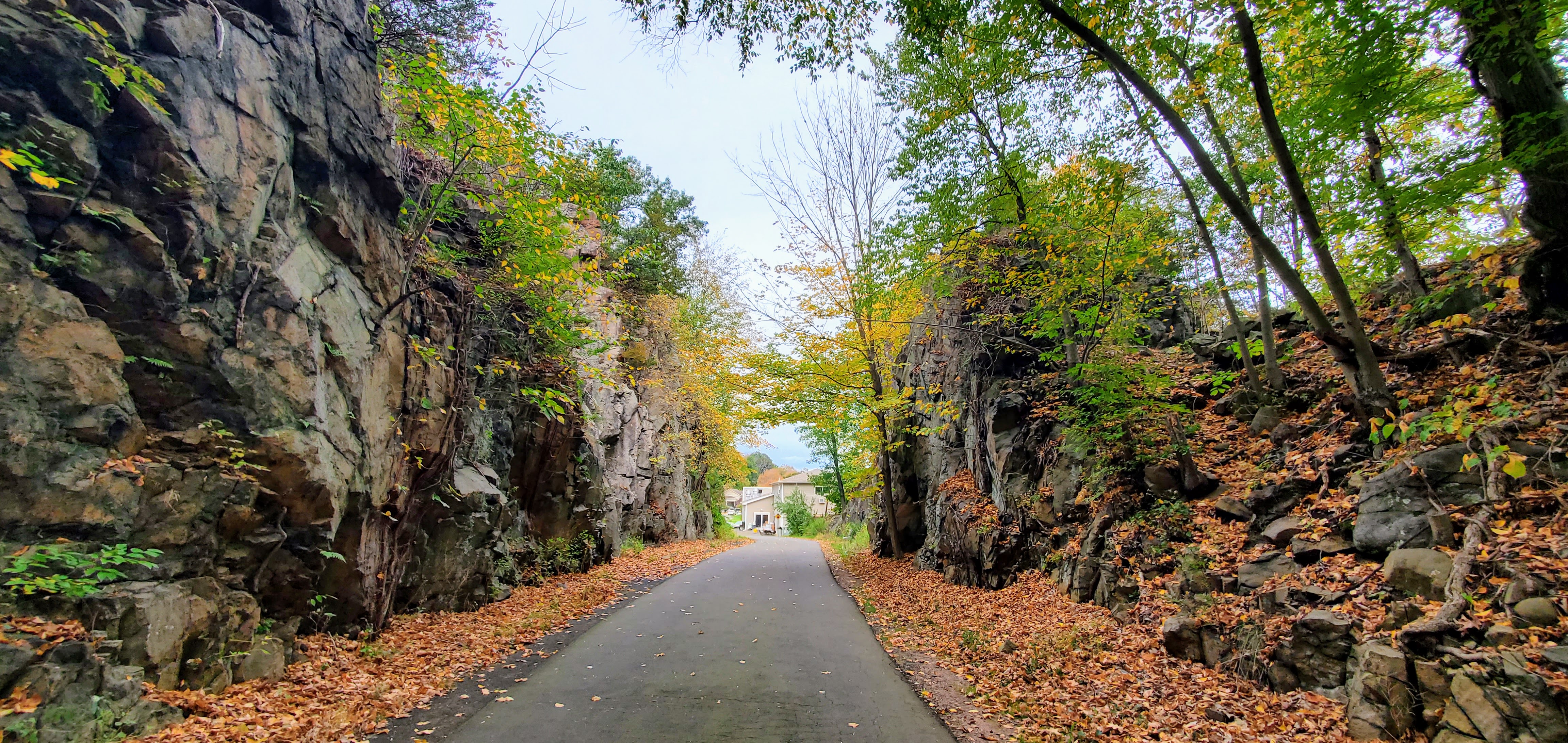 The Farmington Canal Heritage Trail following the former Canal Line railroad cut through "the Steps" - a lower ridge of the "Sleeping Giant" mountain - in the Mount Carmel section of Hamden, Connecticut