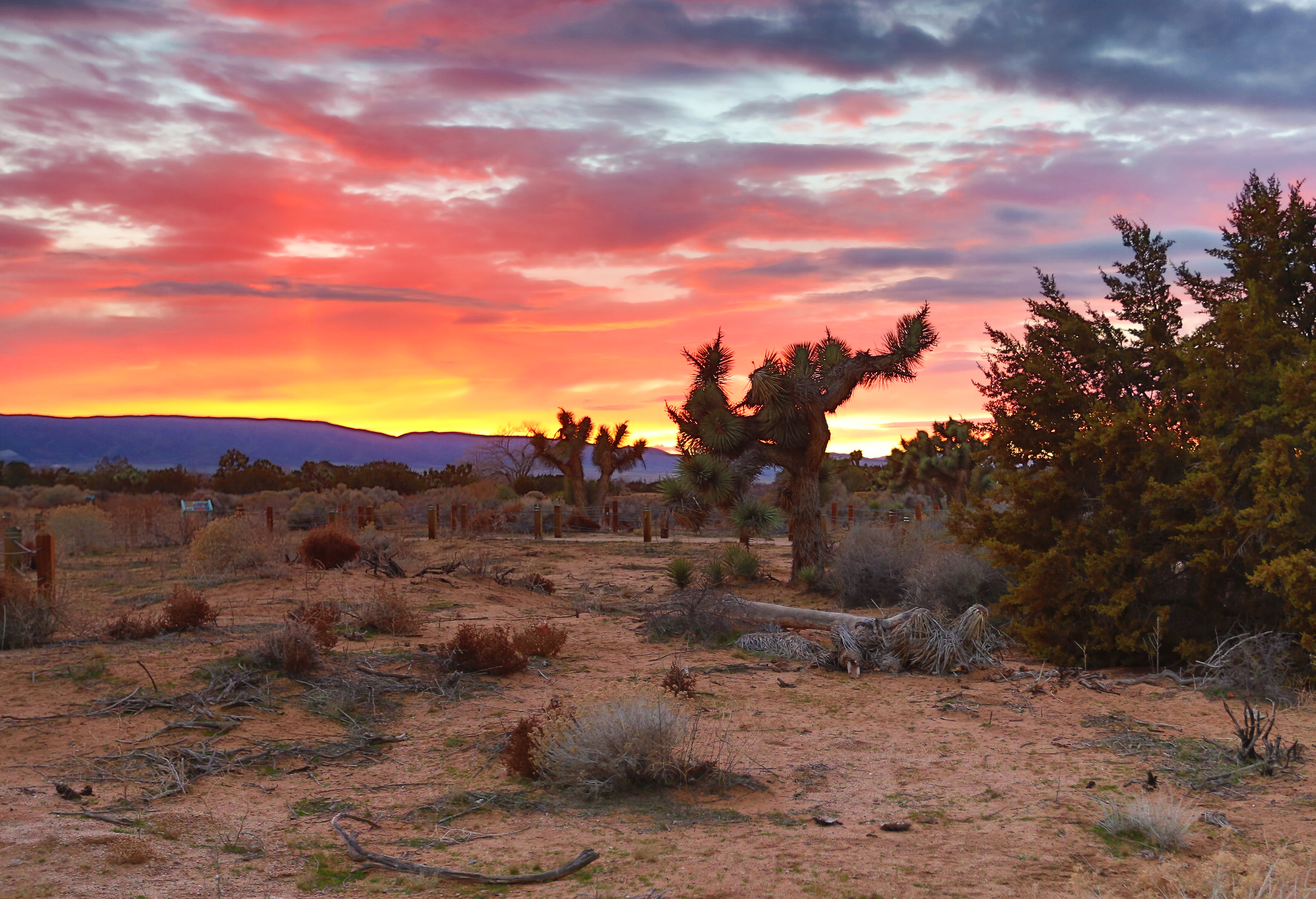 Antelope Valley, California.