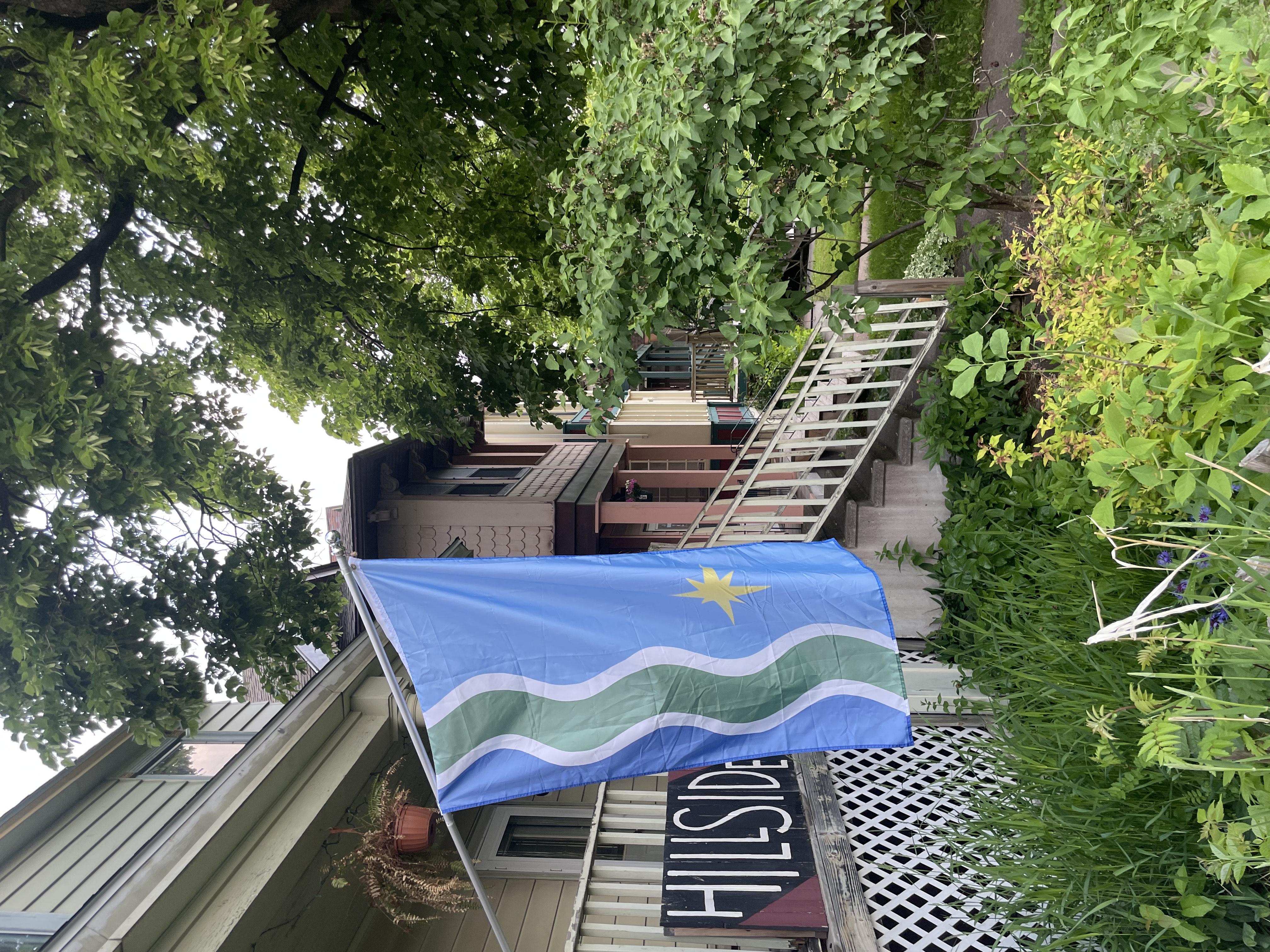 Duluth flag