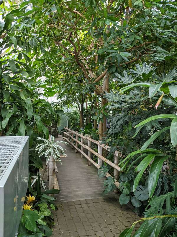 FPC North Conservatory 
