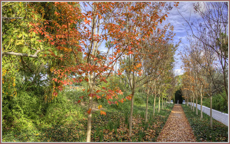
500px provided description: Leaves are falling fast. Overnight temps are getting colder. Only a few days until Winter.  :-) [#autumn ,#yellow ,#trees ,#leaves ,#sky ,#red ,#color ,#path ,#fall ,#orange ,#HDR]